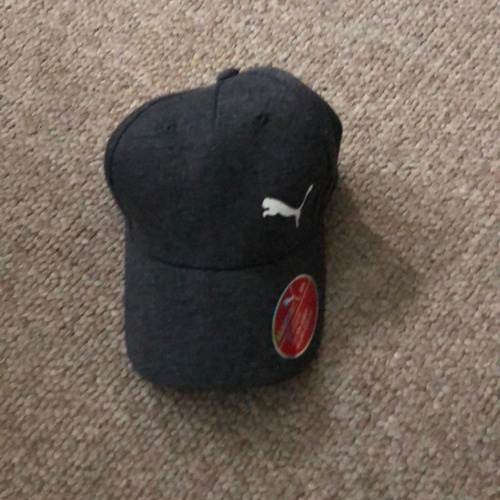 Gray puma cap